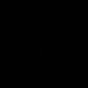 Meet your Posher, Zakiah